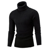 Pull Col Roulé Côtelé Coupe Ajustée