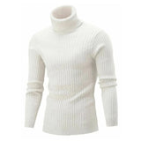 Pull Col Roulé Côtelé Coupe Ajustée